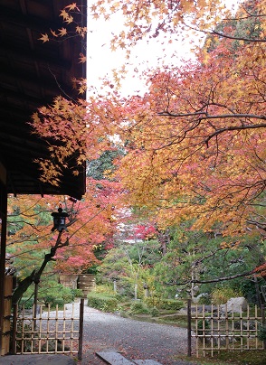 高台寺　土井　美しき庭園