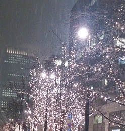 雪の東京