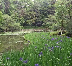 平安神宮　神苑