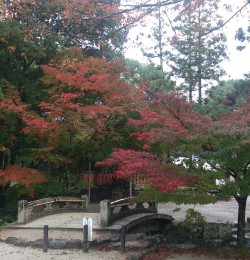 京都 ご結婚式