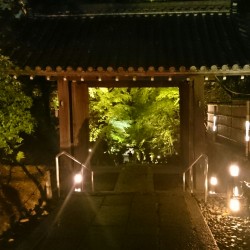 音と舞の調べ 高台寺