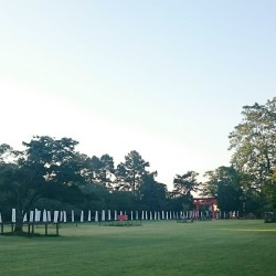 朝 上賀茂神社さん