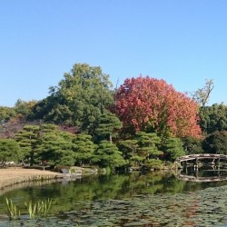 東本願寺別邸　渉成園