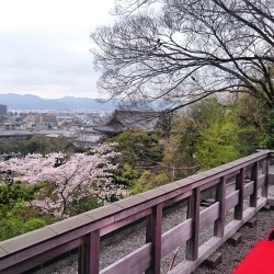 京都ご結婚式