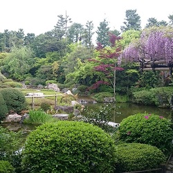 妙心寺　退蔵院さん