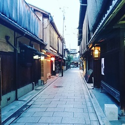 雨収花竹涼