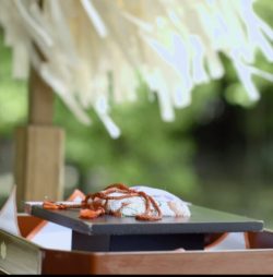 神社さまのムービー