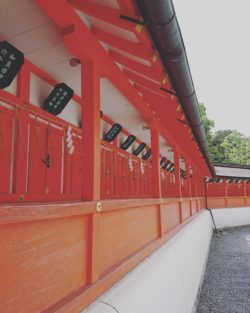 吉田神社さん 京都結婚式