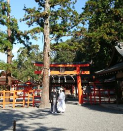 吉田神社さん 撮影