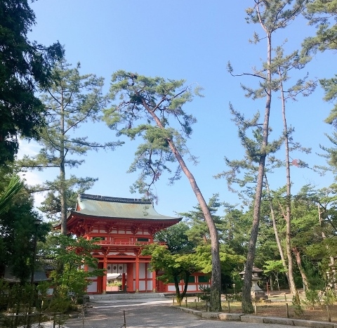 今宮神社ご結婚式