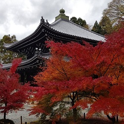 深まる秋　京都