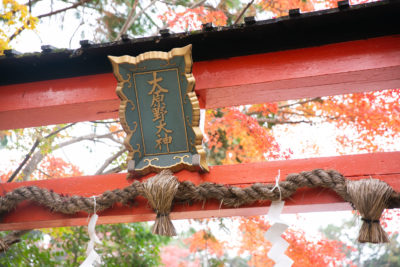 京の佳き日紹介　大原野神社