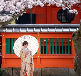 桜の季節  京都前撮り　TANAN丹庵・LST WEDDING