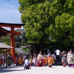 賀茂祭（葵祭）　上賀茂神社