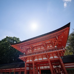 下鴨神社 イルギオットーネ 京都結婚式　LST WEDDING / TANAN丹庵