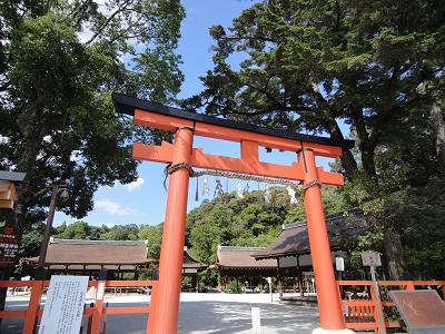 torii