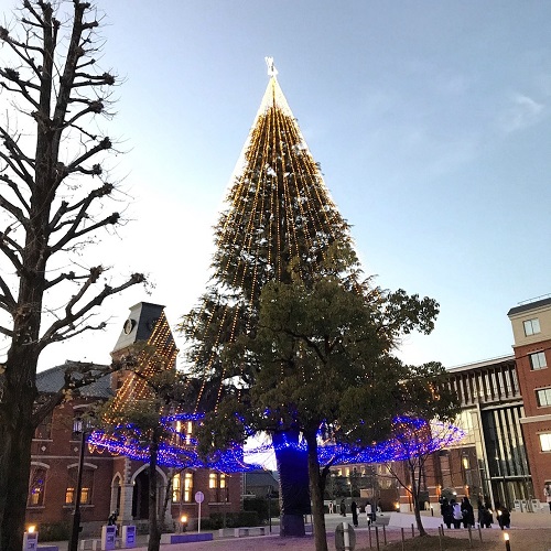 同志社大学 クリスマスツリー