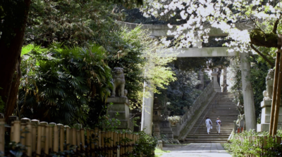 赤坂氷川神社さん　LSTウエディング