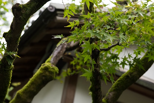 天気予報を見ない理由（わけ）